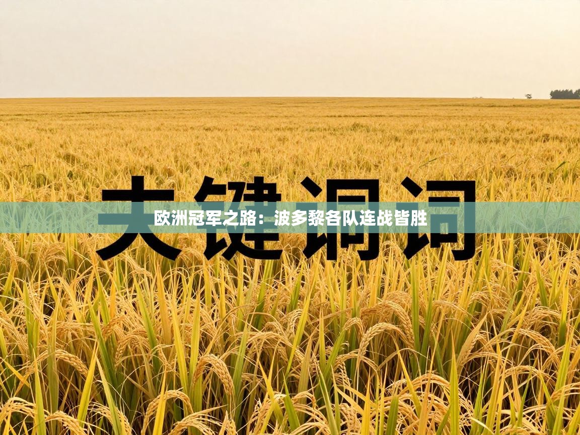 欧洲冠军之路:波多黎各队连战皆胜 第2张