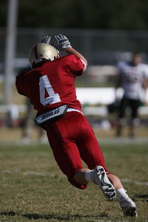九游娱乐在线-全国青少年跳水大赛首次启用AI裁判辅助，青少年跳水比赛视频  第2张